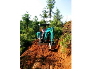 驥村鎮(zhèn)楊先生駕駛德力挖掘機鋪路