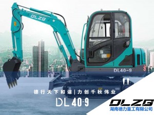 DL 40-9小型挖掘機(jī)